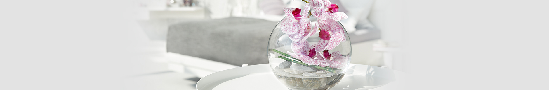Glaskoch_Teaser_Marken_Florido_